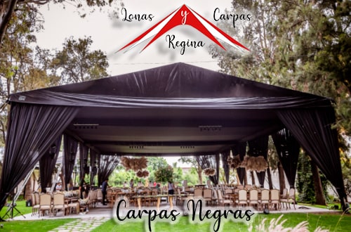 carpa negra